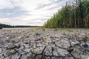 Drying up lake in Bavaria Germany from extreme weather and summer heatwave, climate change and drought