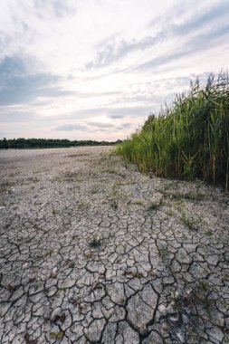 Drying up lake in Bavaria Germany from extreme weather and summer heatwave, climate change and drought