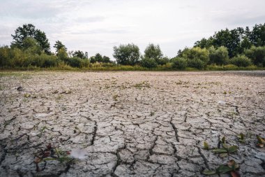 Drying up lake in Bavaria Germany from extreme weather and summer heatwave, climate change and drought