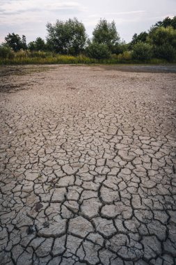 Drying up lake in Bavaria Germany from extreme weather and summer heatwave, climate change and drought