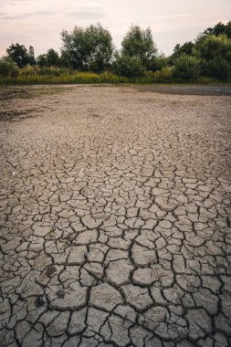 Drying up lake in Bavaria Germany from extreme weather and summer heatwave, climate change and drought