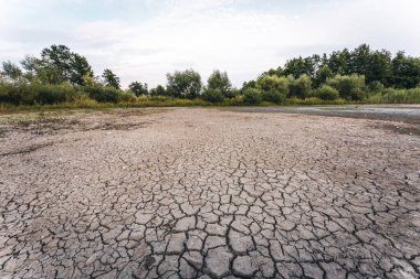 Drying up lake in Bavaria Germany from extreme weather and summer heatwave, climate change and drought