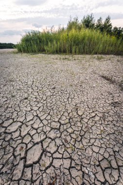 Drying up lake in Bavaria Germany from extreme weather and summer heatwave, climate change and drought