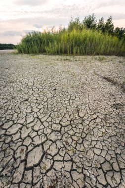 Drying up lake in Bavaria Germany from extreme weather and summer heatwave, climate change and drought