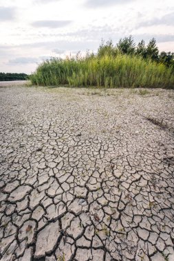 Drying up lake in Bavaria Germany from extreme weather and summer heatwave, climate change and drought