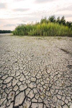 Drying up lake in Bavaria Germany from extreme weather and summer heatwave, climate change and drought