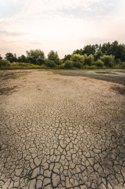Dry lake in Bavaria Germany. Drought and climate change, landscape of cracked earth after lake has dried up in summer. Water crisis an impact of global warming.