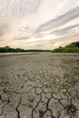 Dry lake in Bavaria Germany. Drought and climate change, landscape of cracked earth after lake has dried up in summer. Water crisis an impact of global warming.