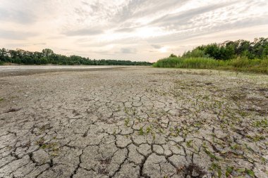 Dry lake in Bavaria Germany. Drought and climate change, landscape of cracked earth after lake has dried up in summer. Water crisis an impact of global warming.