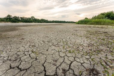 Dry lake in Bavaria Germany. Drought and climate change, landscape of cracked earth after lake has dried up in summer. Water crisis an impact of global warming.