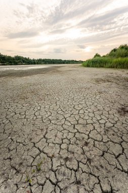 Dry lake in Bavaria Germany. Drought and climate change, landscape of cracked earth after lake has dried up in summer. Water crisis an impact of global warming.