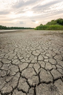 Dry lake in Bavaria Germany. Drought and climate change, landscape of cracked earth after lake has dried up in summer. Water crisis an impact of global warming.