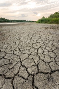 Dry lake in Bavaria Germany. Drought and climate change, landscape of cracked earth after lake has dried up in summer. Water crisis an impact of global warming.