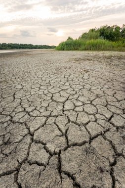 Dry lake in Bavaria Germany. Drought and climate change, landscape of cracked earth after lake has dried up in summer. Water crisis an impact of global warming.