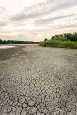 Dry lake in Bavaria Germany. Drought and climate change, landscape of cracked earth after lake has dried up in summer. Water crisis an impact of global warming.