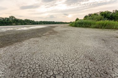 Dry lake in Bavaria Germany. Drought and climate change, landscape of cracked earth after lake has dried up in summer. Water crisis an impact of global warming.