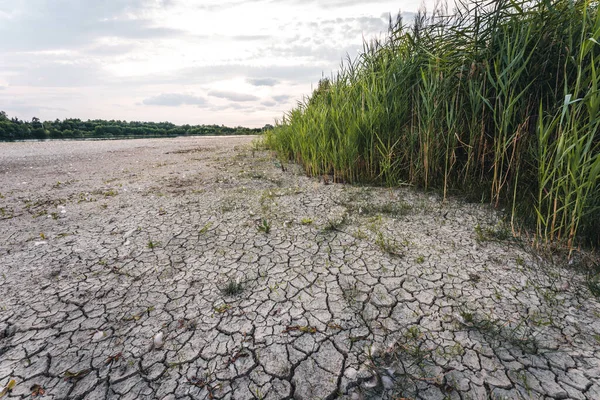 Drying up lake in Bavaria Germany from extreme weather and summer heatwave, climate change and drought