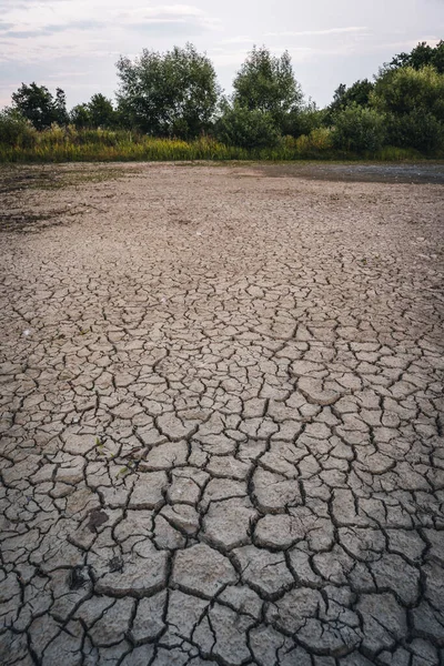 Drying up lake in Bavaria Germany from extreme weather and summer heatwave, climate change and drought