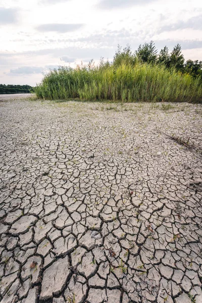 Drying up lake in Bavaria Germany from extreme weather and summer heatwave, climate change and drought