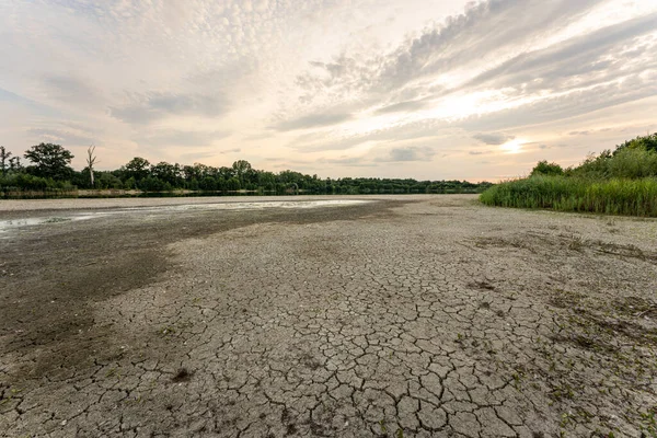 Dry lake in Bavaria Germany. Drought and climate change, landscape of cracked earth after lake has dried up in summer. Water crisis an impact of global warming.