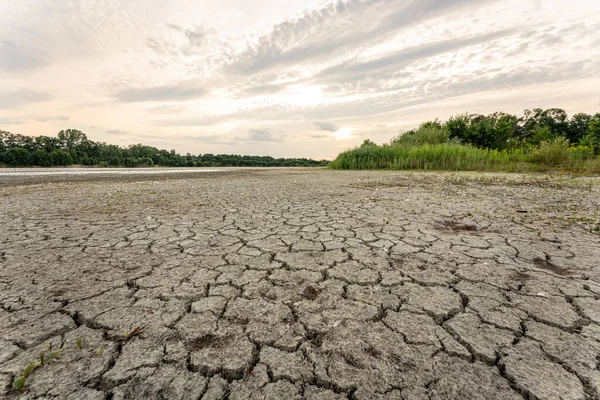 Dry lake in Bavaria Germany. Drought and climate change, landscape of cracked earth after lake has dried up in summer. Water crisis an impact of global warming.