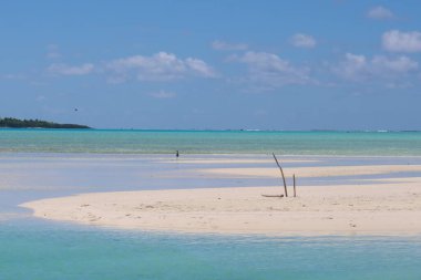 Lagon bleu et banc de samur blanc sur le paradisiaque 