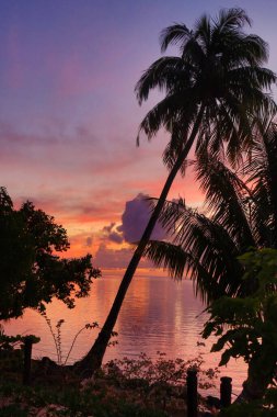 Kanepe de soleil sous les tropiques 