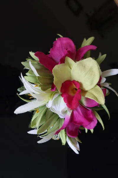 Prachtige Roze Gele Orchideeën Een Tropische Tuin — Stockfoto