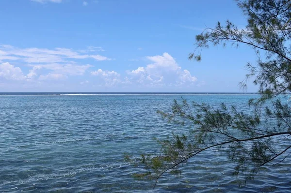 Piękna Niebieska Laguna Palmami Plaży Polinezji Francuskiej — Zdjęcie stockowe