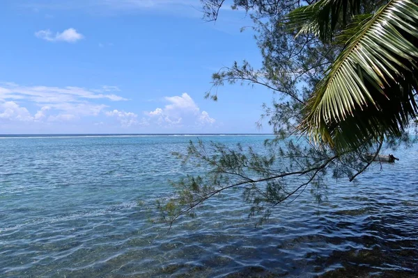 法属波利尼西亚海滩上美丽的蓝色泻湖和棕榈 — 图库照片