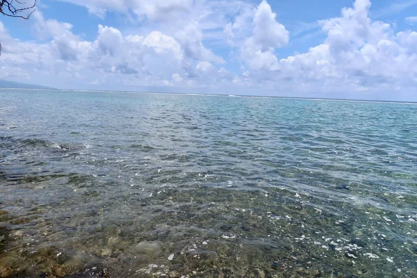 法属波利尼西亚海滩上美丽的蓝色泻湖和棕榈 — 图库照片
