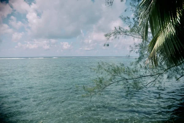 Bella Laguna Blu Con Palma Sulla Spiaggia Dalla Polinesia Francese — Foto Stock