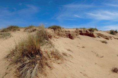 Kumsal ve okyanus mavi gökyüzü