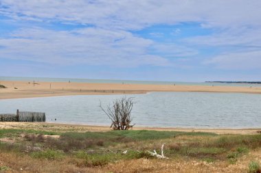 Kumsal ve okyanus mavi gökyüzü