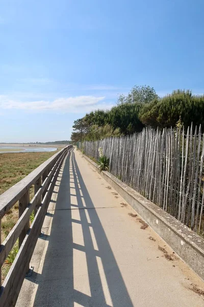 Road Leading River — Stockfoto