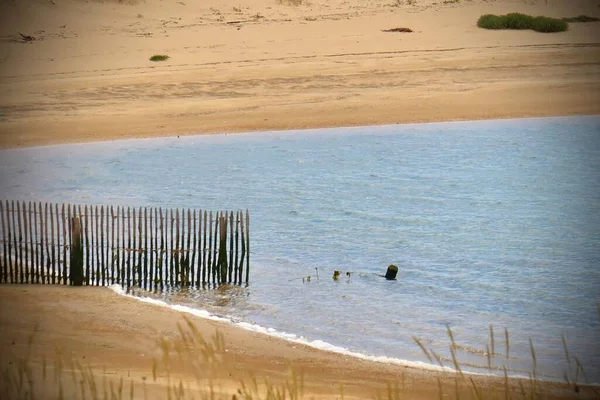 Plage Dunes Océan Avec Ciel Bleu — Photo