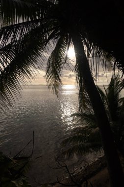 Güzel deniz manzarası ve kumsal.