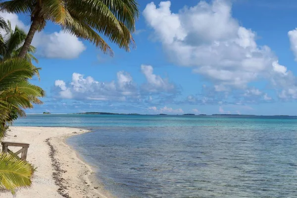 Hermosa Playa Tropical Con Palmeras Cielo Azul —  Fotos de Stock