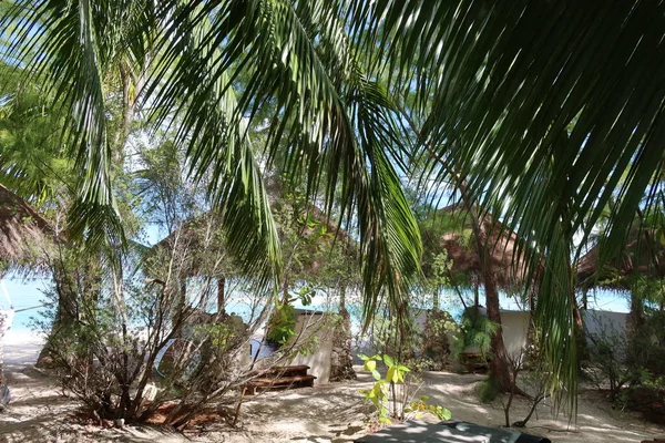 Beautiful Tropical Landscape Palm Leaves Beach Caribbean Sea Thailand — Foto Stock