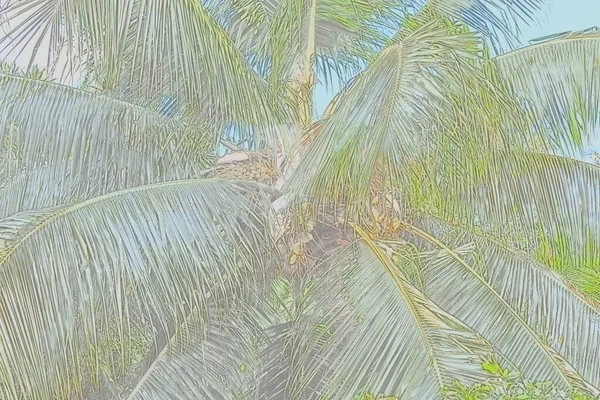 palm trees and blue sky. green banana tree. tropical background.