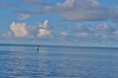 Güzel tropikal Tahiti sahilleri