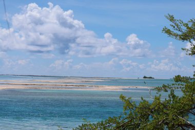 Tahiti adasının güzel manzarası 