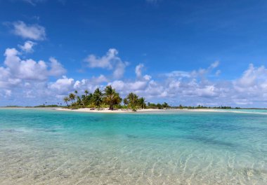 beautiful tropical beach in  Tahitian island with palm trees and blue sky