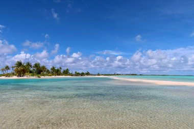 beautiful tropical beach in  Tahitian island with palm trees and blue sky