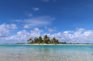 Tahiti adasındaki güzel tropikal kumsalda palmiye ağaçları ve mavi gökyüzü