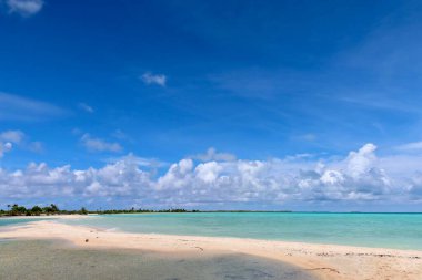 Tahiti adasında, palmiye ağaçları ve mavi gökyüzü olan güzel bir tropik plaj.