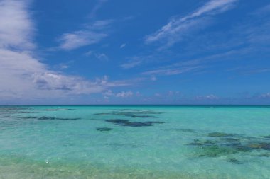 beautiful tropical beach in a Tahitian island with palm trees and blue sky