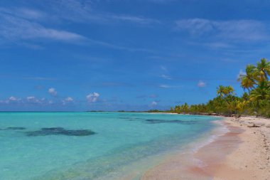 Tahiti adasında, palmiye ağaçları ve mavi gökyüzü olan güzel bir tropik plaj.