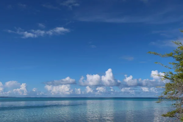Beautiful Tropical Tahitian Beach Sea — Zdjęcie stockowe