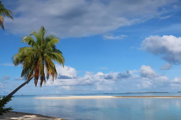 Beautiful Tropical Tahitian Beach Sea — Photo